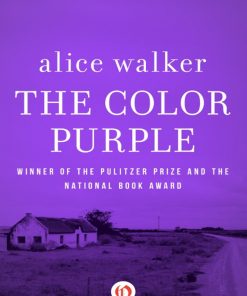 The Color Purple 1st edition by Alice Walker ISBN 9781780228716 978-1780228716