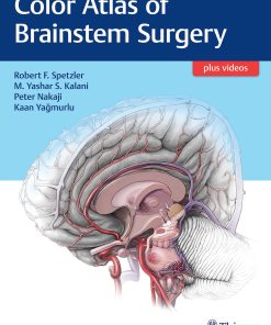 Thieme Color Atlas of Brainstem Surgery