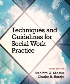 Techniques and Guidelines for Social Work Practice 10th Edition by Bradford Sheafor, Charles Horejsi ISBN 0205965105 978-0205965106