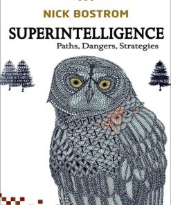 Superintelligence Paths Dangers Strategies