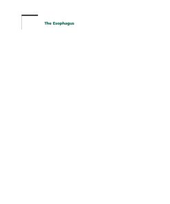 The Esophagus 5th Edition by Donald Castell, Joel Richter ISBN 1405198646 9781405198646