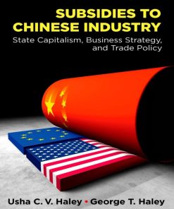 Subsidies to Chinese Industry State Capitalism Business Strategy and Trade Policy