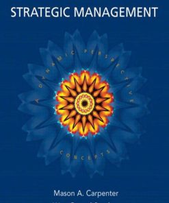 Strategic Management Concepts ePub (2nd Edition)