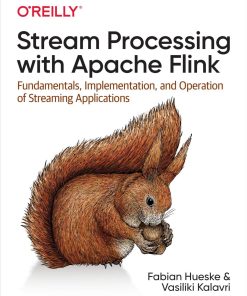 Stream Processing with Apache Flink