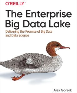 The Enterprise Big Data Lake 1st edition by Alex Gorelik ISBN 1491931558 978-1491931554