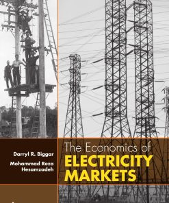 The Economics of Electricity Markets 1st Edition by Darryl R Biggar, Mohammad Reza Hesamzadeh ISBN 9781118775752
