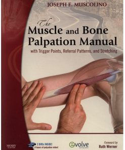 The Muscle And Bone Palpation Manual 1st edition by Joseph Muscolino ISBN 0323051715 978-0323051712