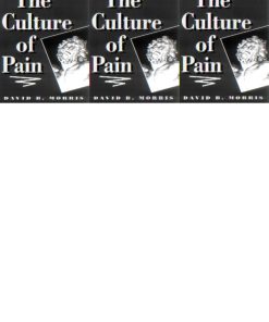 The Culture of Pain 1st edition by David Morris ISBN 0520082762 9780520082762