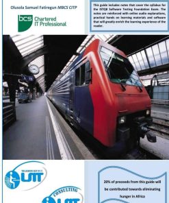 A Practical Learning Guide to Software Testing 1st edition by Mr Olusola Samuel Fatiregun ISBN 1542668174  978-1542668170