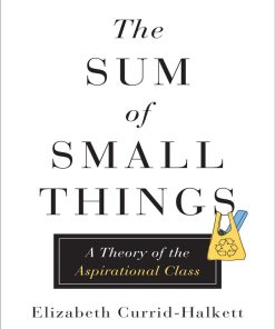 Sum of Small Things A Theory of the Aspirational Class The