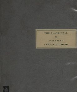 The Blank Wall Elisabeth Sanxay Holding